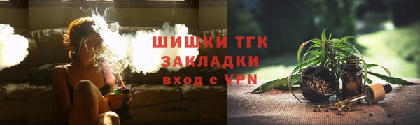 тгк Абаза