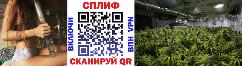 ОМГ ОМГ ССЫЛКА  Сусуман  Марихуана MAZAR 
